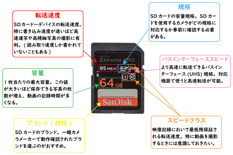 一眼レフ/ミラーレス一眼カメラ用SDカードを選ぶ際のポイント