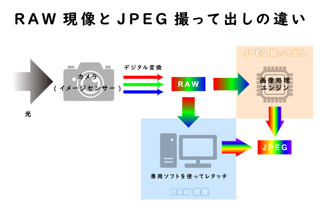 RAW現像とJPEG撮って出しのメカニズム