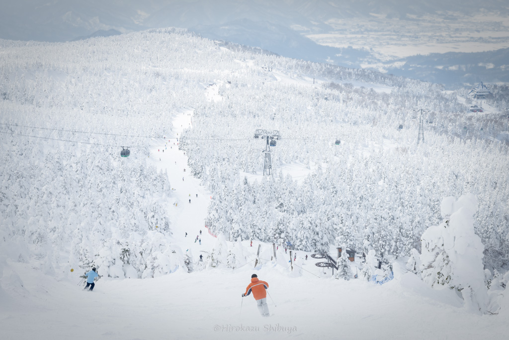 冬(12月、1月、2月)の写真撮影におすすめ被写体～雪景色～