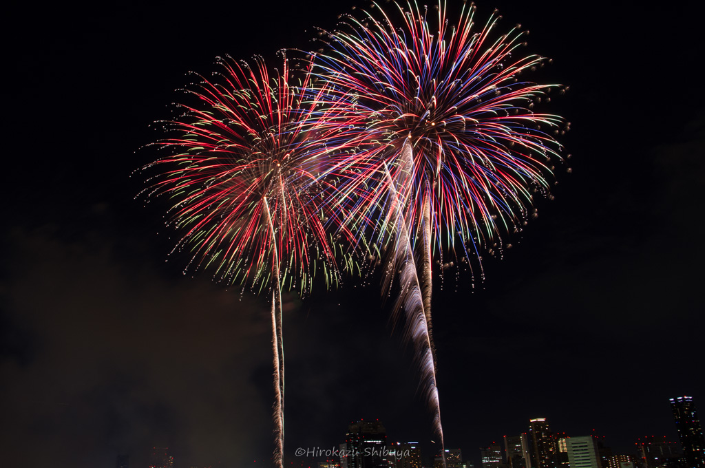 適正露出の花火写真の例(F8.0、SS5.5秒、ISO100)