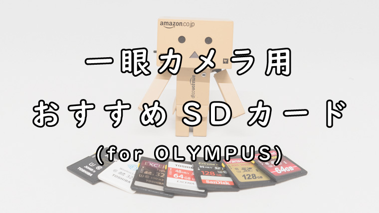 OLYMPUSの一眼カメラにおすすめなSDカード
