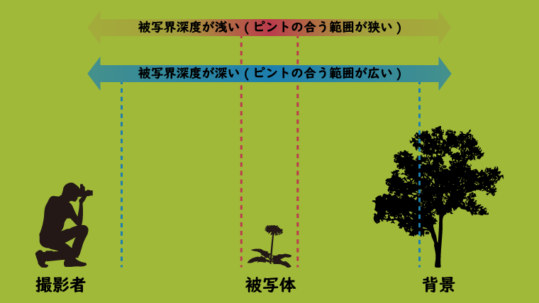 被写界深度とは