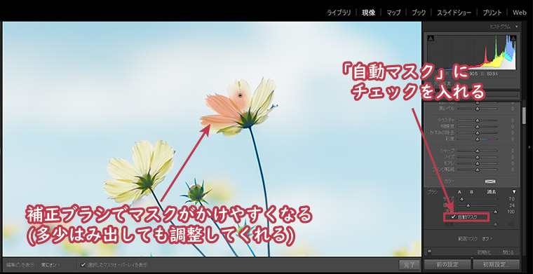 補正ブラシによる部分補正③